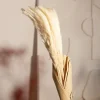 HOMLA Bukiet Suszek Lanati Naturalnych 75 Cm Sale