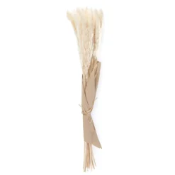 HOMLA Bukiet Suszek Lanati Naturalnych 75 Cm Sale