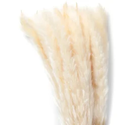 HOMLA Bukiet Suszek Lanati Naturalnych 75 Cm Sale