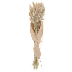 HOMLA Bukiet Suszek Lanati Naturalnych 40 Cm Sale