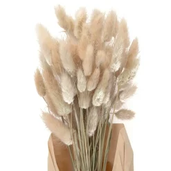 HOMLA Bukiet Suszek Lanati Naturalnych 40 Cm Sale