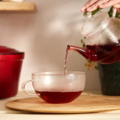 HOMLA Dzbanek Aror Z Filizanka 0,5 L Przezroczysty Sale