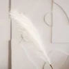 HOMLA Galazka Canne Sztuczna 100 Cm Ecru Sale