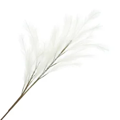 HOMLA Galazka Canne Sztuczna 100 Cm Ecru Sale