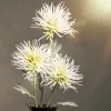 HOMLA Galazka Sztuczna Alma Kulki Biale 68 Cm Clearance