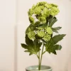 HOMLA Galazka Sztuczna Anise Anyz Zielona 48 Cm Best