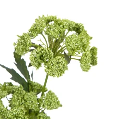 HOMLA Galazka Sztuczna Anise Anyz Zielona 48 Cm Best