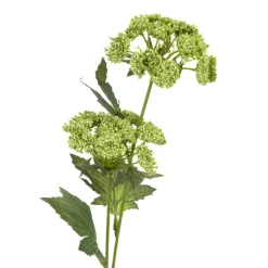 HOMLA Galazka Sztuczna Anise Anyz Zielona 48 Cm Best