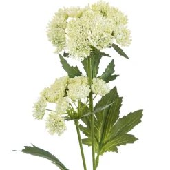 HOMLA Galazka Sztuczna Anise Anyz Zolta 48 Cm Sale