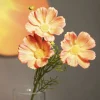 HOMLA Galazka Sztuczna Cosmos Pomaranczowa 50 Cm Online