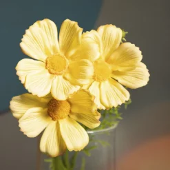 HOMLA Galazka Sztuczna Cosmos Zolta 50 Cm Outlet