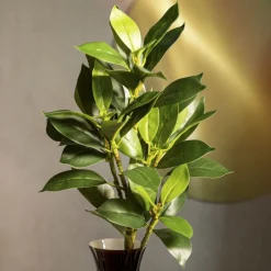 HOMLA Galazka Sztuczna Edera Liscie 79 Cm Best