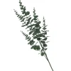 HOMLA Galazka Sztuczna Eucalyptus Zielona 95 Cm Zielony New