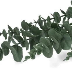HOMLA Galazka Sztuczna Eucalyptus Zielona 95 Cm Zielony New
