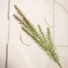 HOMLA Galazka Sztuczna Klusi Iglak Zielona 71 Cm Sale
