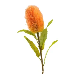 HOMLA Galazka Sztuczna Malum Banksja 66 Cm Pomaranczowy Hot