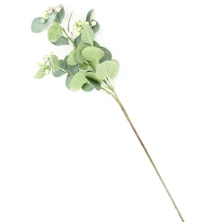 HOMLA Galazka Sztuczna Mirtelo Zielona 60 Cm Ecru Sale