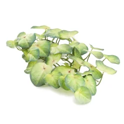 HOMLA Girlanda Z Lisci Sztuczna Tropical Zone Koleus 172 Cm Clearance