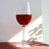 HOMLA Kieliszek Lynn Ryflowany Transparentny 0,5 L Outlet
