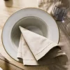 HOMLA Komplet Serwetek Do Jadalni Farre Bezowe 30X45 Cm Bezowy Discount
