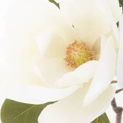 HOMLA Kwiat Sztuczny Hiya Magnolia 71 Cm Bialy Online