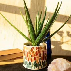 HOMLA Oslonka Na Doniczke Azul W Kolorowe Plamki 13X13X11 Cm Sale