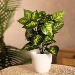 HOMLA Roslina Sztuczna Edera W Donicy 20 Cm Best