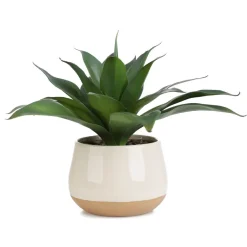HOMLA Roslina Sztuczna Semela Agawa 38 Cm Clearance
