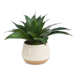HOMLA Roslina Sztuczna Semela Agawa 38 Cm Clearance