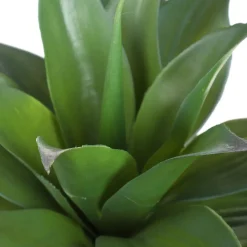 HOMLA Roslina Sztuczna Semela Agawa 38 Cm Clearance