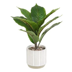 HOMLA Roslina Sztuczna Semela Difenbachia 36 Cm Discount