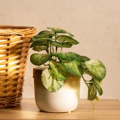 HOMLA Roslina Sztuczna Semela Epipremnum Zlocista 18 Cm Sale