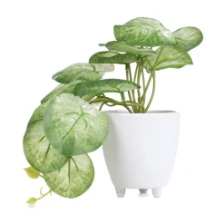 HOMLA Roslina Sztuczna Semela Epipremnum Zlocista 18 Cm Sale
