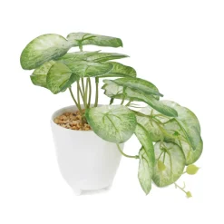 HOMLA Roslina Sztuczna Semela Epipremnum Zlocista 18 Cm Sale