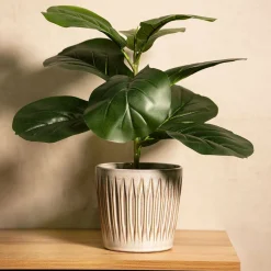 HOMLA Roslina Sztuczna Semela Fikus 43 Cm Outlet
