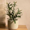 HOMLA Roslina Sztuczna Semela Krzak Oliwny 35 Cm Clearance