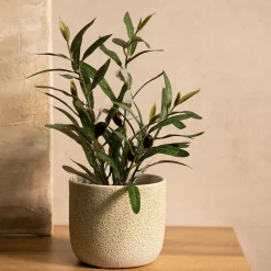 HOMLA Roslina Sztuczna Semela Krzak Oliwny 35 Cm Clearance