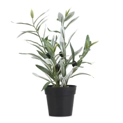 HOMLA Roslina Sztuczna Semela Krzak Oliwny 35 Cm Clearance