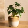 HOMLA Roslina Sztuczna Semela Monstera 25 Cm Clearance