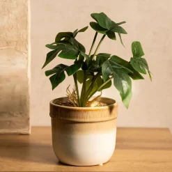 HOMLA Roslina Sztuczna Semela Monstera 25 Cm Clearance