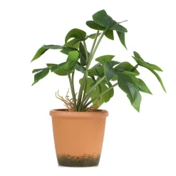 HOMLA Roslina Sztuczna Semela Monstera 25 Cm Clearance
