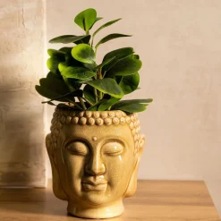 HOMLA Roslina Sztuczna Semela Peperomia 30 Cm Best