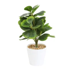 HOMLA Roslina Sztuczna Semela Peperomia 30 Cm Best