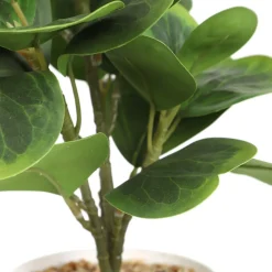 HOMLA Roslina Sztuczna Semela Peperomia 30 Cm Best