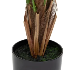 HOMLA Roslina Sztuczna Tropical Zone Palma 90 Cm Discount