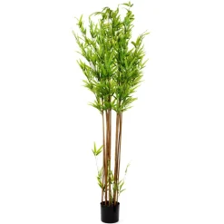 HOMLA Roslina Sztuczna Tropical Zone Bambus 180 Cm Clearance