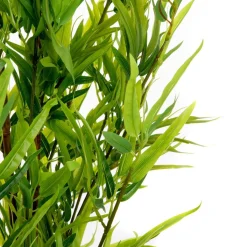 HOMLA Roslina Sztuczna Tropical Zone Bambus 180 Cm Clearance