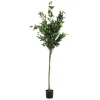 HOMLA Roslina Sztuczna Tropical Zone Fikus Beniamin 160 Cm Best