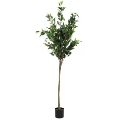 HOMLA Roslina Sztuczna Tropical Zone Fikus Beniamin 160 Cm Best