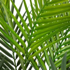 HOMLA Roslina Sztuczna Tropical Zone Palma 120 Cm Sale